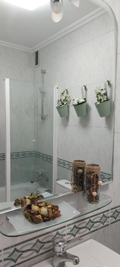 Apartment Casa Camelias *